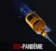 Éco-pandémie